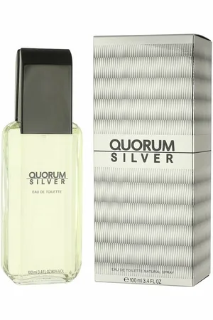 Antonio Puig Eau de Toilette Quorum Silver Eau de Toilette Spray 100ml - Verkäufer: Parfümerie Wilhelm Haas