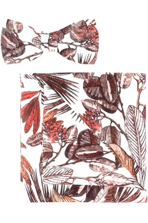 Olymp Fliege (Set)