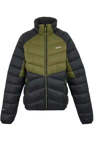 Regatta Steppjacke Dalent Herren - Verkäufer: Tauro
