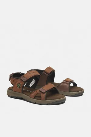 Timberland Governor