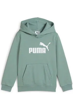 PUMA Kapuzensweatshirt ESS NO. 1 LOGO HOODIE FL PS