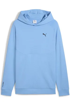 PUMA Hoodie TECH Hoodie Herren