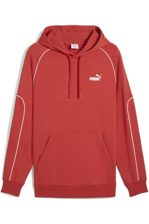 PUMA Hoodie Sport Hoodie Herren