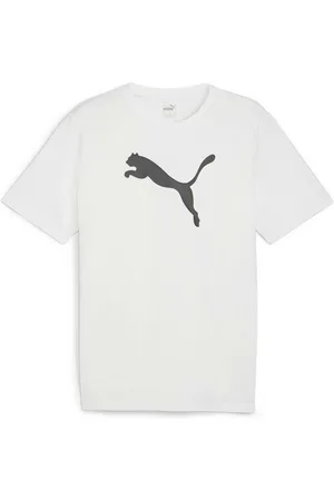 PUMA T-Shirt Kinder T-Shirt teamRISE Logo Jersey Cotton Jr 658707 - Verkäufer: CORTEXPOWER