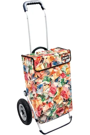 JAMES Einkaufstrolley MONEY - stabiler Einkaufswagen mit individuellem Design, Handmade in Austria - Einkaufsbegleiter mit viel Stauraum - trägt 40kg - Verkäufer: Warenhaus 23