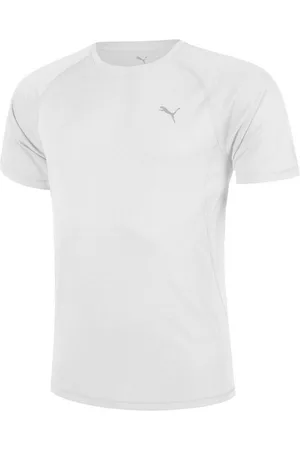 PUMA Laufshirt Velocity Tee - Verkäufer: Tennis-Point