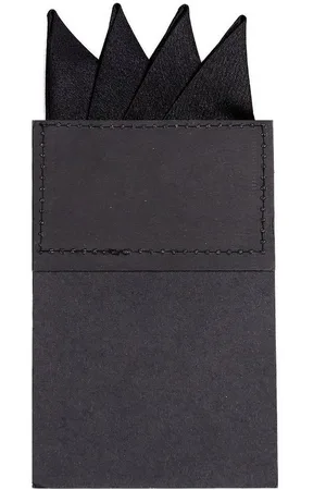 DonDon Einstecktuch Herren Einstecktuch vorgefaltet für den perfekten Sitz, (Packung, 1-St), vorgefaltet, mit Karton verstärkt, Seidenlook - Verkäufer: urban-styles