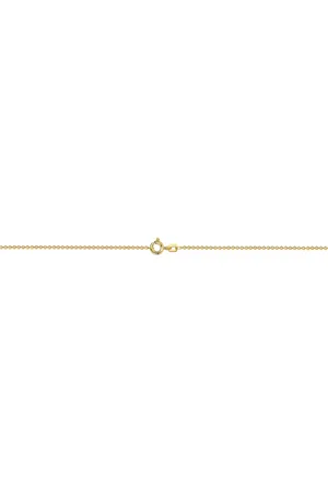 Firetti Collierkettchen Schmuck Geschenk Gold 333 oder 585 Halskette Ankerkette rund, Made in Germany