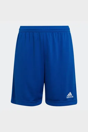 adidas Trainingsshorts ENT22 SHO Y (1-tlg)