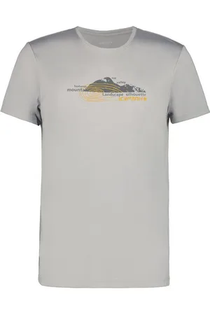 Icepeak Funktionsshirt BEARDEN DAMPF - Verkäufer: Intersport MuM