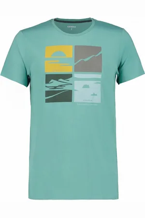 Icepeak Funktionsshirt BEEVILLE ANTIKGRUEN - Verkäufer: Intersport MuM