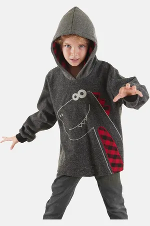 Denokids Kapuzenpullover Check Dino mit Dinosaurier-Stickerei