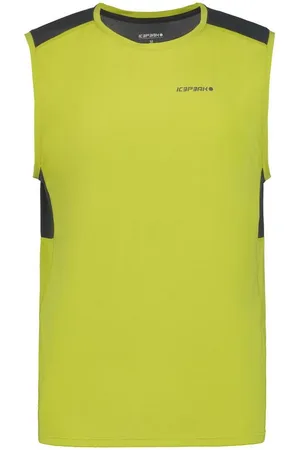 Icepeak Funktionsshirt BLAINE ALOE - Verkäufer: gue-sport