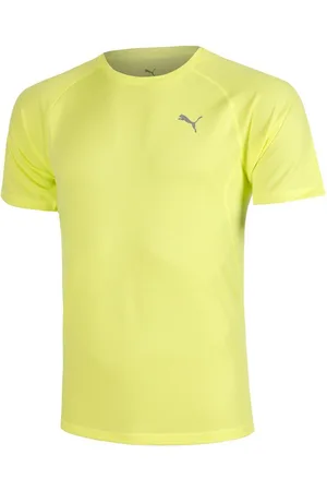 PUMA Laufshirt Velocity Tee - Verkäufer: Tennis-Point