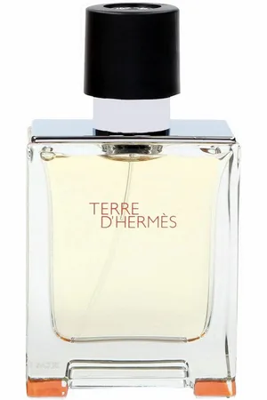 Hermès HERMÈS Eau de Toilette Terre dHermes, Glasflakon, Parfüm EDT, Herrenduft - Verkäufer: tpa-retail