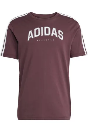 adidas Kurzarmshirt M C COLLEG TEE AURRUB - Verkäufer: Intersport Stähle