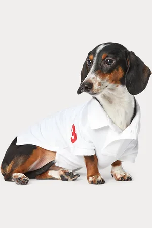 Ralph Lauren Hunde-Poloshirt mit Big Pony
