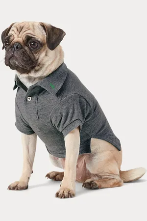 Ralph Lauren Hunde-Poloshirt aus Baumwollpiqué