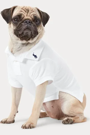 Ralph Lauren Hunde-Poloshirt aus Baumwollpiqué
