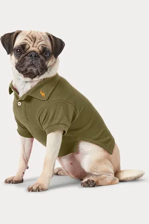 Ralph Lauren Hunde-Poloshirt aus Baumwollpiqué