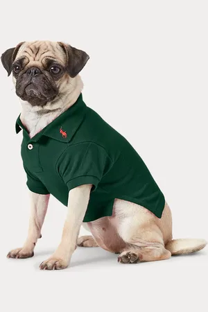 Ralph Lauren Hunde-Poloshirt aus Baumwollpiqué