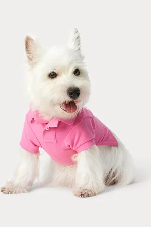Ralph Lauren Hunde-Poloshirt aus Piqué mit Polo Bear