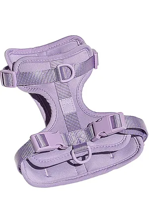 WILD ONE RIEMEN LARGE HARNESS in .