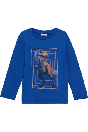 QS by s.Oliver Longsleeve mit Dino-Print, Kinder