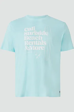 QS by s.Oliver T-Shirt, Herren