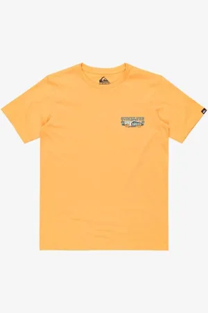 Quiksilver Bekleidung Evo Aqua Wild Ss Yth EQBZT04835 - - Größe 12A