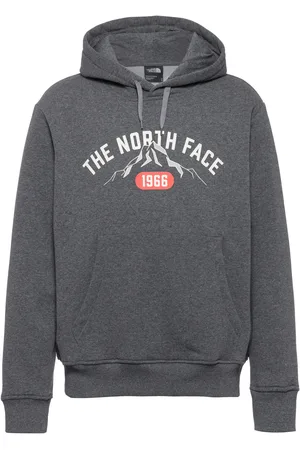 The North Face VARSITY Hoodie Herren