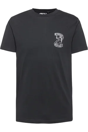 Picture TERRA T-Shirt Herren