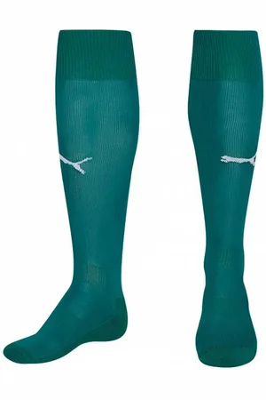PUMA Team Stutzen