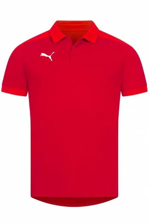 PUMA TeamFINAL Sideline Herren Polo-Shirt
