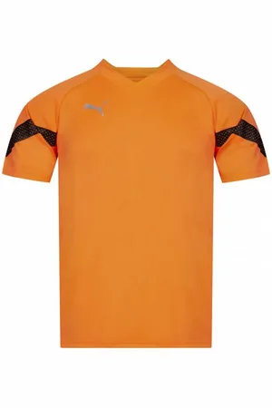 PUMA TeamFINAL Herren Trikot