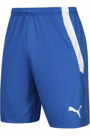PUMA TeamLIGA Herren Shorts
