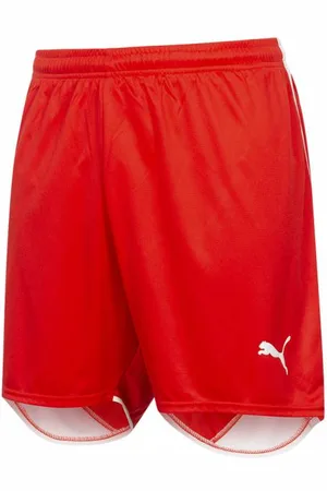 PUMA V3.06 Herren Shorts
