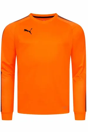 PUMA DryCELL Herren Torwarttrikot