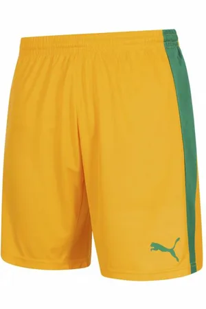 PUMA Pitch Herren Shorts mit Innenhose