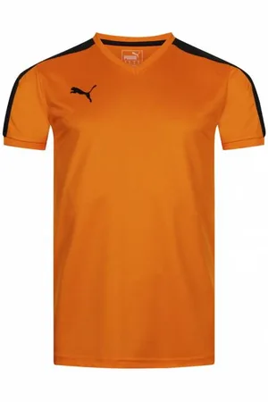 PUMA Team Herren Trikot
