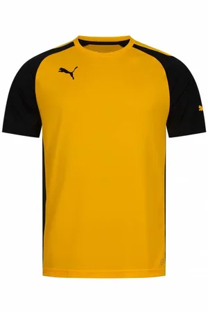 PUMA Speed Herren Trikot