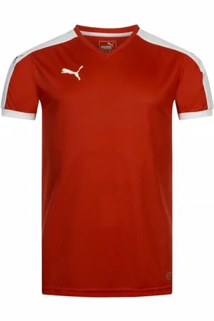 PUMA Pitch Herren Trikot