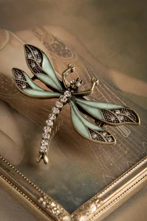 Lovely Wie man Ihre Dragonfly Brosche in Minzgrün aufpeppt