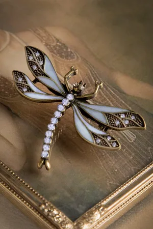 Lovely Wie man Ihre Dragonfly-Brosche in himmlisch Blau trainiert