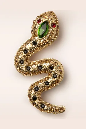Day&Eve by Go Dutch Label Sparkly Snake Brosche in Multi