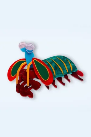 Erstwilder Peacock Mantis Shrimp Brosche