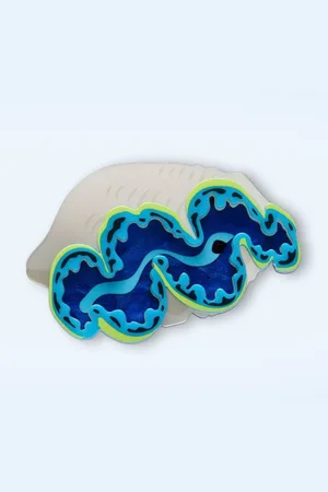 Erstwilder Giant Clam Brosche
