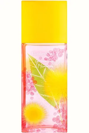 Elizabeth Arden Grüner Tee Mimosa Eau De Toilette Spray 100 Ml für Damen - One Size