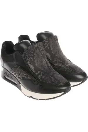 Ash Sneaker EUR 41